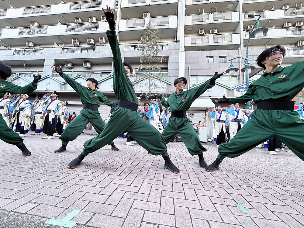 岐阜聖徳学園大学 柳